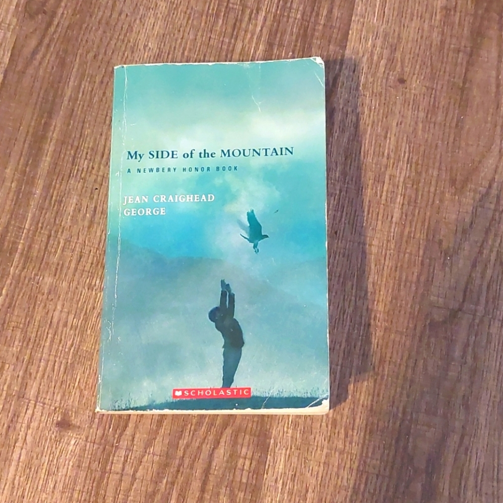 My side of the mountain book